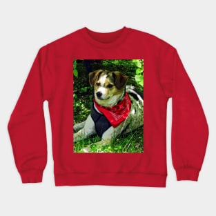 Dogs - Dog in Red Scarf Crewneck Sweatshirt